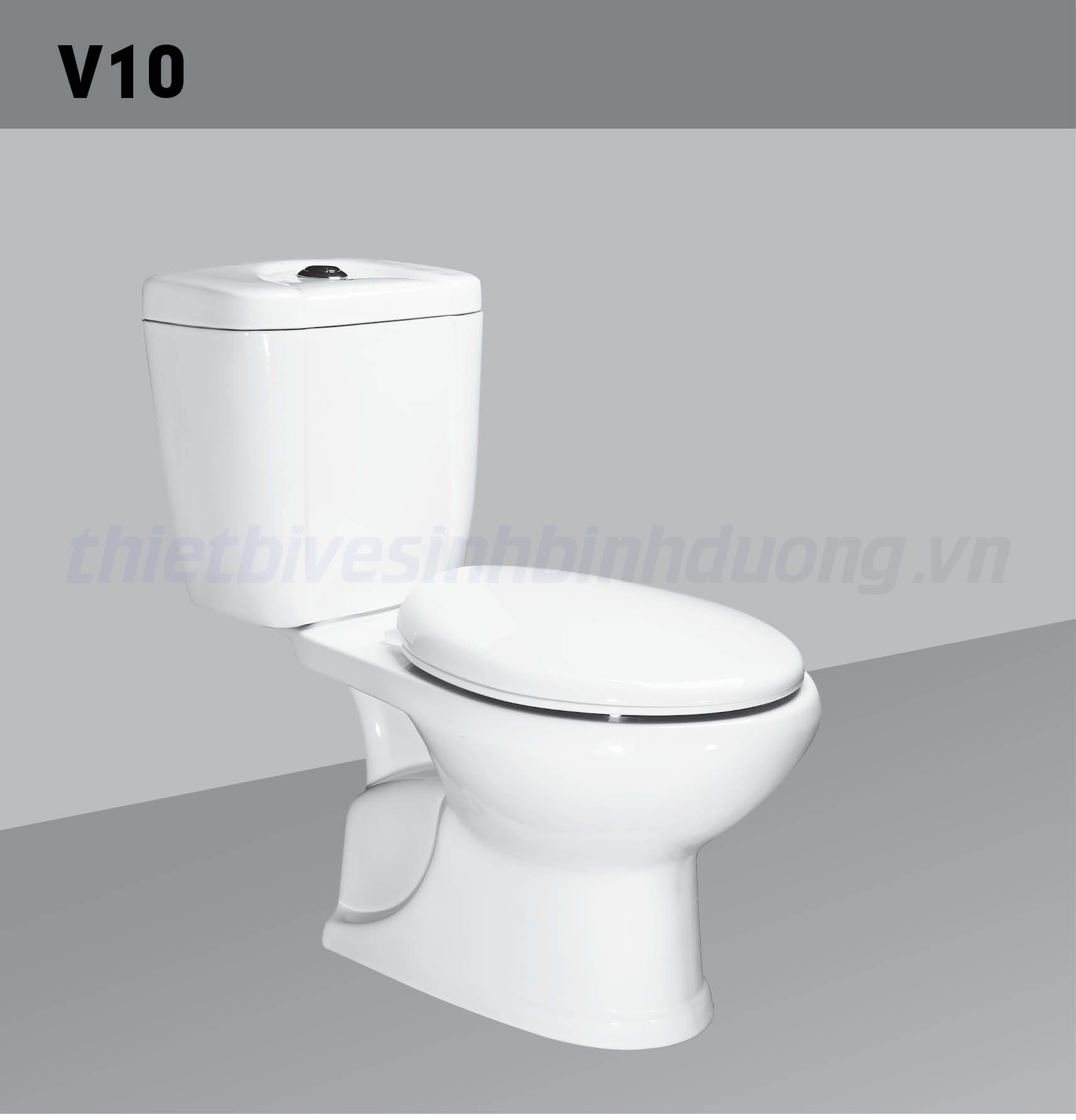 Bồn cầu sứ Hảo Cảnh HC V10